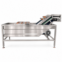 Automatische Fruit Aardbei Luchtbel Wassen Waxen Droogmachine Fruit Wassen Sorteren Waxen Productielijn