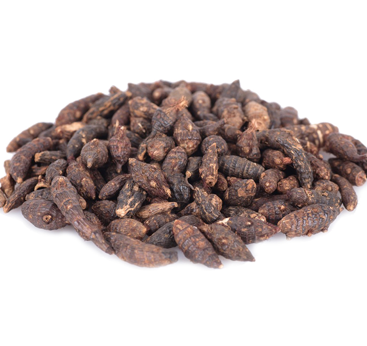 Blood Circulation Promotion Rhizoma Chuanxiong Oil , Essential Oils For Massage