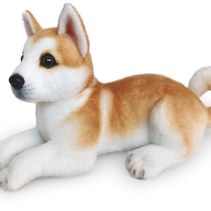 Vente chaude Mignon Chiot Doux En Peluche Jouet Simulation Mignon <span class=keywords><strong>Akita</strong></span> Rovina Animal Chien Poupée En Peluche Réalité Rempli Chien Jouet - Product Image 3