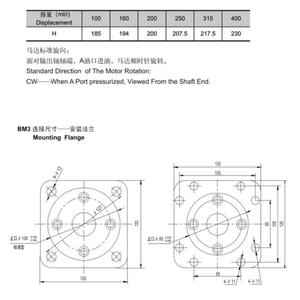 Moteur hydraulique BM3-100 BM3-125 BM3-160 BM3-200 BM3-250 BM3-315 BM3-400 BM3-500 Série BM3 Huile - Product Image 1