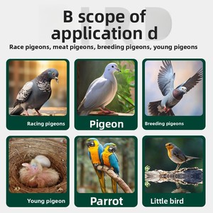 Sel de bain pour oiseaux, bain aux herbes, poudre de bain spéciale désodorisante, refroidissement estival, sel de reproduction pour oiseaux de course - Product Image 4
