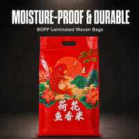 Sac en polypropylène tissé PP de 10 kg, imprimé sur mesure, pour le riz et les céréales, vente en gros