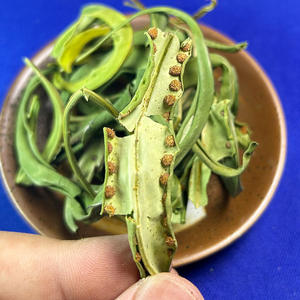 Herbe fossile grande feuille rein en vrac essence thé herbe dorée brute source d'origine fabriquée à la main pierre de thé fossile - Product Image 1