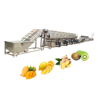 Dadelpalmvruchten, avocado, citroen, sinaasappel, mango, aardbei reinigings- en droogmachine, groentewaslijn