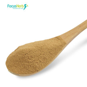 FocusHerb Vente Chaude Certifié EU & USDA Extrait de Champignon Crinière de Lion en Poudre - Product Image 1