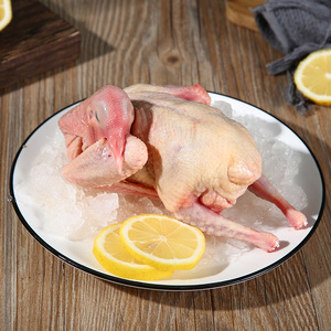 Carne di Piccione Intera Affumicata FD Halal Premium, Confezione Sottovuoto 700g YGY per <span class=keywords><strong>Hamam</strong></span> Mahshi Egiziano, Dieta Quotidiana - Product Image 3