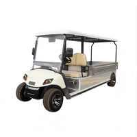 Kendaraan Utilitas Golf Listrik Dengan Indikator Baterai Melalui Layar Dashboard untuk Operasi Pemantauan Energi yang Nyaman