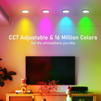 Projecteur intelligent RGB 12W COB AR111 IP65 étanche WIFI APP dimmable AC85-265V pour hôtel commercial, exposition, éclairage ponctuel