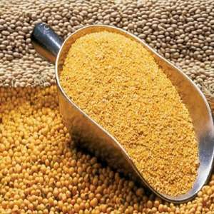 מזון אורגני בתפזורת מזון סויה מזון בעלי חיים עבור דגים מזון myna ציפור - Product Image 5