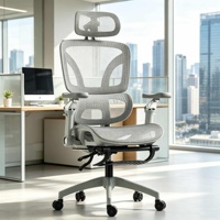 Silla de Oficina Ergonómica de Malla con Respaldo Alto, Reposabrazos Ajustables 6D, Soporte Lumbar, Inclinación y Bloqueo, Giratoria, Diseño Contemporáneo para Oficina en Casa