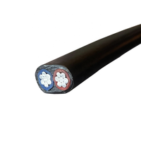 Chine hochwertiges 70 mm2 konzentrisches XLPE-isoliertes Stromkabel XLPE-Aluminium kabel