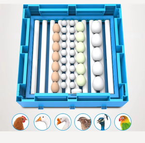 Incubateur d'œufs automatique à alimentation unique 12V 220V pour œufs de dinde, d'émeu, d'oie et d'oiseaux, avec un taux d'éclosion élevé - Product Image 2