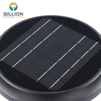 Vente en gros de lampes solaires LED pour pelouse BILLION IP65 étanches, en aluminium et PC durables, 3000/6000K, éclairage paysager extérieur