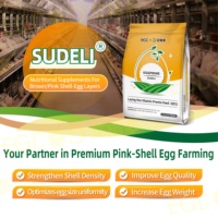 Prémélange d'aliments pour volailles, booster de santé pour les poules pondeuses, mélange de production d'œufs avec des acides aminés de qualité alimentaire