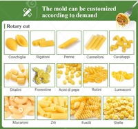 Grande Machine de Fabrication de Pâtes Chinoises Macaroni Spaghetti pour Ligne de Production de 1000kg