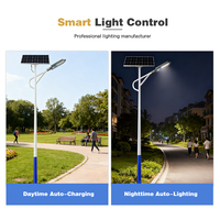 Lampadaire solaire LED IP66 de haute qualité 100W/200W avec panneau solaire pour allée de villa et parcours de golf
