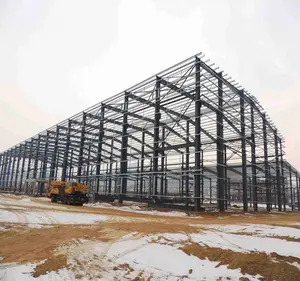 Lichte Structuur Magazijn Hangar Industrieel Ontwerp Frontaal Stalen Frame China Prefab Gebouw Buiten Opslag Landbouwschuur