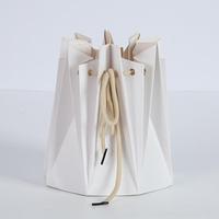 Sac cadeau pliable en carton blanc, sac à fleurs pour bouquet de plantes vertes avec doublure imperméable en plastique, matériel de fleuriste, portable