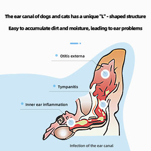 Solución limpiadora de control de olores sin manchas de etiqueta privada, limpieza de oídos saludable para mascotas, lavado de oídos para perros - Product Image 4