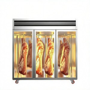 Équipement <span class=keywords><strong>professionnel</strong></span> de <span class=keywords><strong>boucherie</strong></span> : Réfrigérateur de présentation de viande avec compartiments et congélateur - Product Image 5