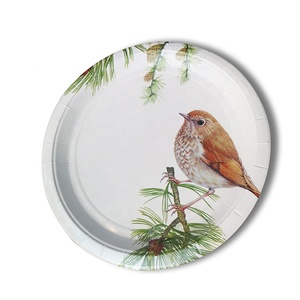 Juego de Vajilla, Diseña Tu Propio Plato de Papel Desechable, 8 Piezas - Product Image 2
