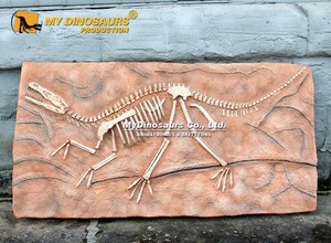 My Dino DS-124 Plaque d'exposition <span class=keywords><strong>de</strong></span> fossile <span class=keywords><strong>de</strong></span> dinosaure <span class=keywords><strong>Velociraptor</strong></span> pour musée - Product Image 4