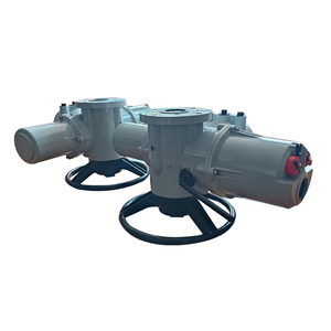 Controlador de Actuador IQ35 IQ40 Multivuelta OEM de Proveedor Chino, para Agua, AC220V/380V, Tamaño de Puerto 32/26mm - Product Image 6