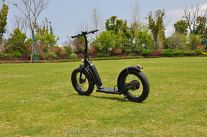 <span class=keywords><strong>Trottinette</strong></span> Électrique Grande Roue <span class=keywords><strong>Adulte</strong></span> 20 Pouces, E-Scooter Tout-Terrain Fabriquée en Chine - Product Image 6
