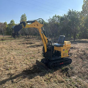 Mini-excavatrice compacte à chenilles de 0,8 T certifiée EPA CE EURO5, moteur de haute qualité, prix de gros gratuit, Chine - Product Image 4