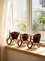 Jardinière en rotin en forme de vélo, panier à plantes tressé à la main en forme de tricycle, pot décoratif rustique en osier pour jardin, cour, intérieur/extérieur, Carol