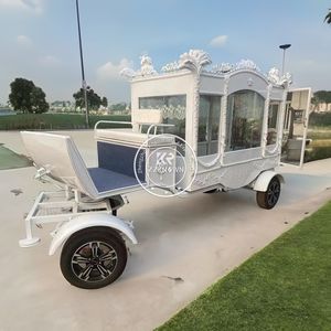 Chariots funéraires Buggy électrique Fabricant de chariot noir blanc de haute qualité Corbillard tiré par des chevaux - Product Image 6