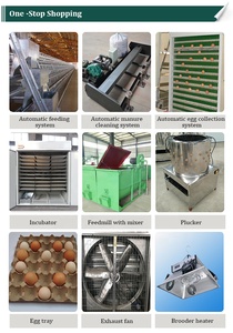 Büyük Metal tavuk evi kafes ucuz tavuk kümesi a tipi kanatlı tavuk kafesi yumurta tabakası kafes tavuk çiftliği sistemi - Product Image 6