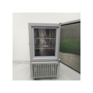 Refrigerador Criogénico Vertical Pequeño de Alta Calidad -80~-50C, Cámara de Prueba Industrial de Baja Temperatura, Almacenamiento de Vacunas para Exteriores, CE - Product Image 1