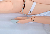 Simulateur de formation en obstétrique d'urgence pour l'enseignement médical des premiers secours maternels en cas d'hémorragie post-partum et de pratique du travail d'accouchement