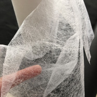 PES Hot Melt Adhesive Web Film Adhesivo Web Film New Trend Hot-Melt Web 10-60 Gramos Punto de fusión 110-120 Grados C