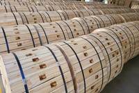 Hanxin 22 Years Optical Fibre Oem Factory Indoor Multi Mode Distribution Om3 Om4 Om5 12 24 48 Core Gjfjv Fiber Optic Cable