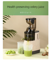 200W Elektrische Fruitpers 300ml 6 Bladen RVS Koudpers Sapcentrifuge Slow Juicer voor Camper Buitenreizen