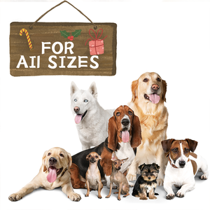 Tabletas Masticables Blandas con Alto Contenido de Proteínas para Mascotas, Aumentan el Peso, Fortalecen el Sistema Inmunológico, Apoyan las Articulaciones, Vitaminas, Calcio, Absorción Rápida - Product Image 6