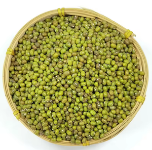Semillas de brotes orgánicos Premium Sprouting Mung Beans para uso doméstico comercial Alta tasa de germinación Crecimiento rápido Fresh Free Chemical - Product Image 4