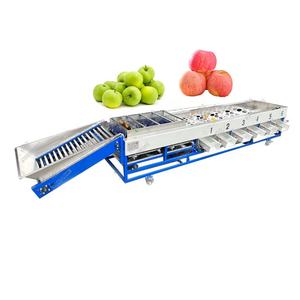 Machine de calibrage automatique des fruits ronds, machine de classement des pommes, machine de calibrage des pommes - Product Image 5