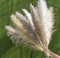 Botte de roseaux des marais séchés, 4 pieds de long, couleur Beige, vraie herbe, pampa, décoration avec des fleurs séchées,
