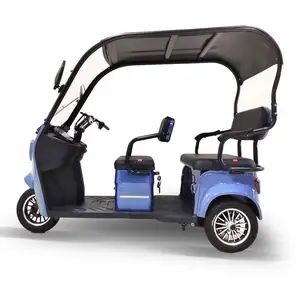 Manufacturer Cheap Price Drum Brake 3 Wheel Two Seater Electric Scooter tricycle For The Public