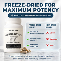 Capsules d'enzymes DAO pour les reins de bœuf OEM/ODM, sélénium, soutien immunitaire intestinal pour adultes, confort digestif, santé intestinale