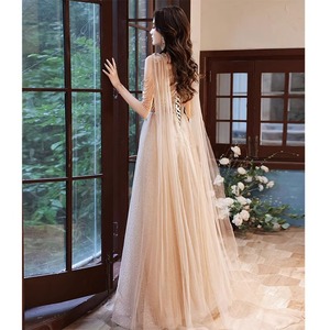 Champagne Starlight Tassel Evening Dress V-Neck Empire Waist Long Gown For Coming Of Age Ceremony Women Hostess Dress - Product Image 2