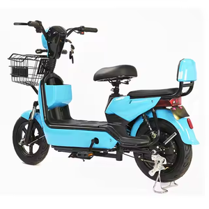 Allemagne 750W Motor E-Bike MTB Electric Folding Cargo Bicycle Rear Hub Motor Smart City Bike 48v Voltage Pièces de rechange incluses - Product Image 6