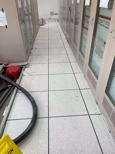 Accesorios para Salas de Servidores a Precios Accesibles: Piso Antiestático de Acero Inoxidable Mero con Soporte de Vinilo y Aluminio - Product Image 2