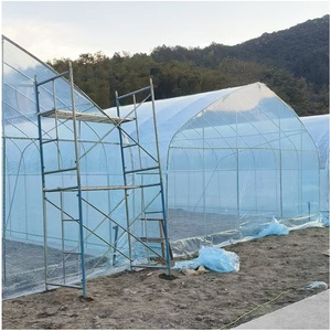 Serres agricoles et horticoles à simple travée, structure complète avec couverture en film PE - Product Image 1