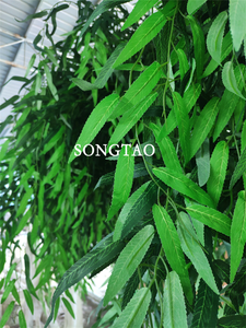 Árboles Artificiales de <span class=keywords><strong>Sauce</strong></span> <span class=keywords><strong>Llorón</strong></span> Colgantes de Plástico Verde para Exteriores, Certificados con Protección UV, para Decoración de Jardines, Oficinas y Hoteles - Product Image 3