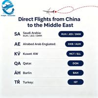 Transitaire Aérien Direct Chine vers Dubaï, Émirats Arabes Unis, Moyen-Orient, Tarifs Compétitifs pour le Fret Aérien CIF/CFR, Expédition vers l'Aéroport de DXB