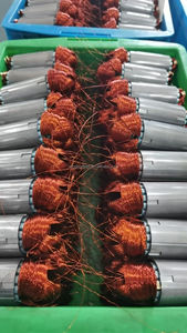 Persianas Y Cortinas Motor De Puerta Enrollable AC DC Tuya Wifi Roller Motor - Product Image 3